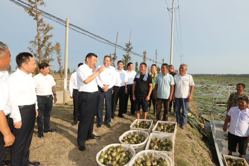 8月18日至21日，中共中央總書記、國家主席、中央軍委主席習近平在安徽省考察。這是18日下午，習近平在阜陽市阜南縣蒙洼蓄洪區(qū)，同正在采摘芡實的鄉(xiāng)親們親切交流，了解災后生產(chǎn)恢復情況。